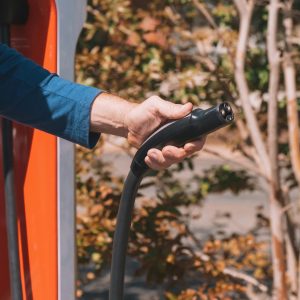 Transport Decarbonization Targets in the GCC